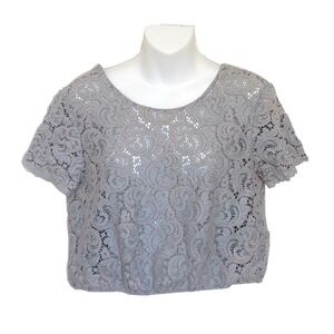 Zara Gray Blue Lace Mesh Crop Top Short Sleeve
